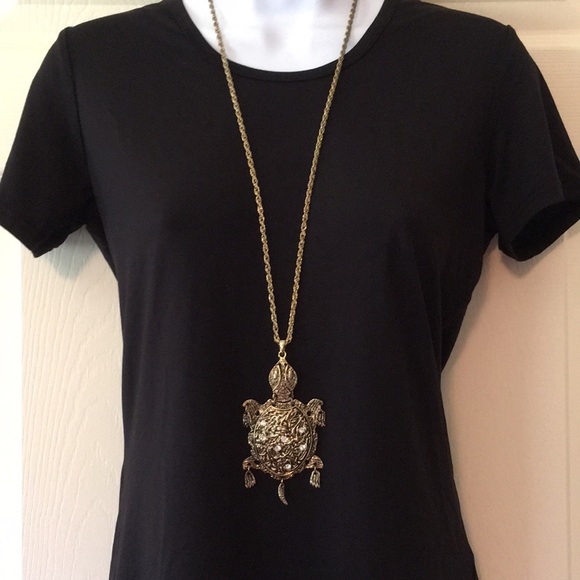 The tortoise wins this race! - Picture 2 of 4